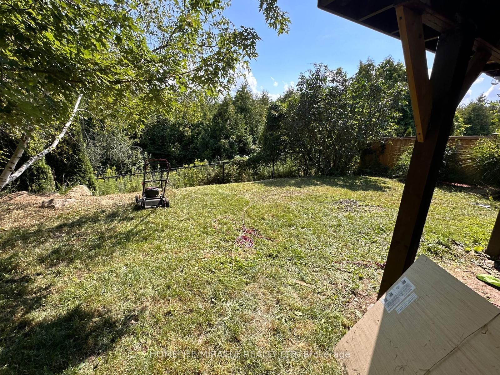50 Buckingham Street Property Photo 24