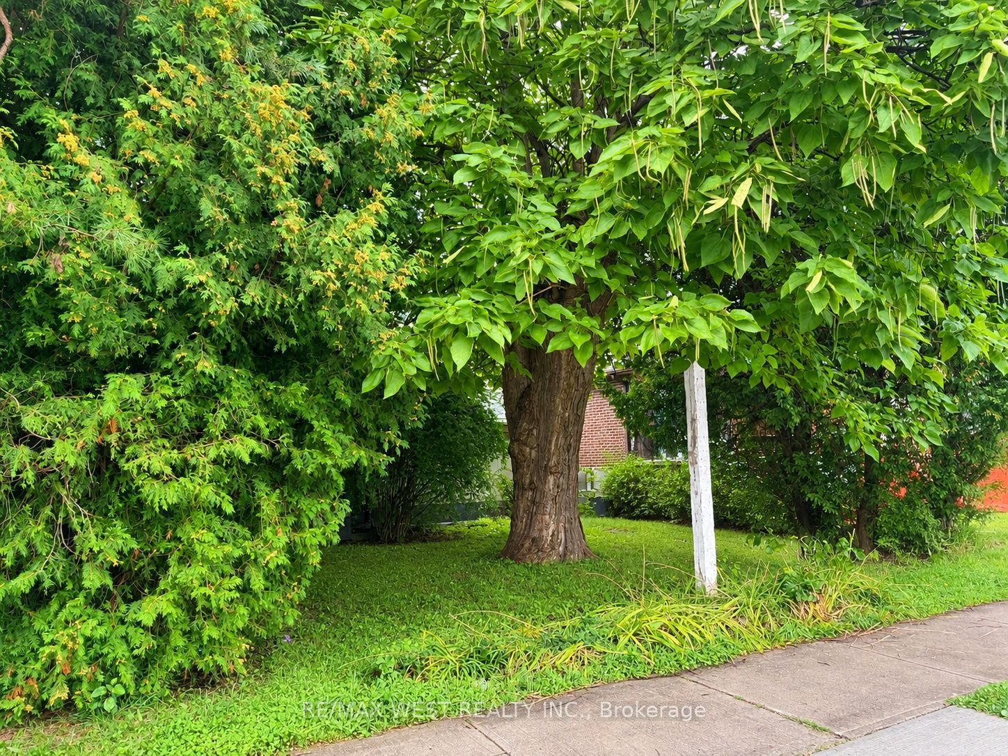 1304 Alexandra Avenue Property Photo 4