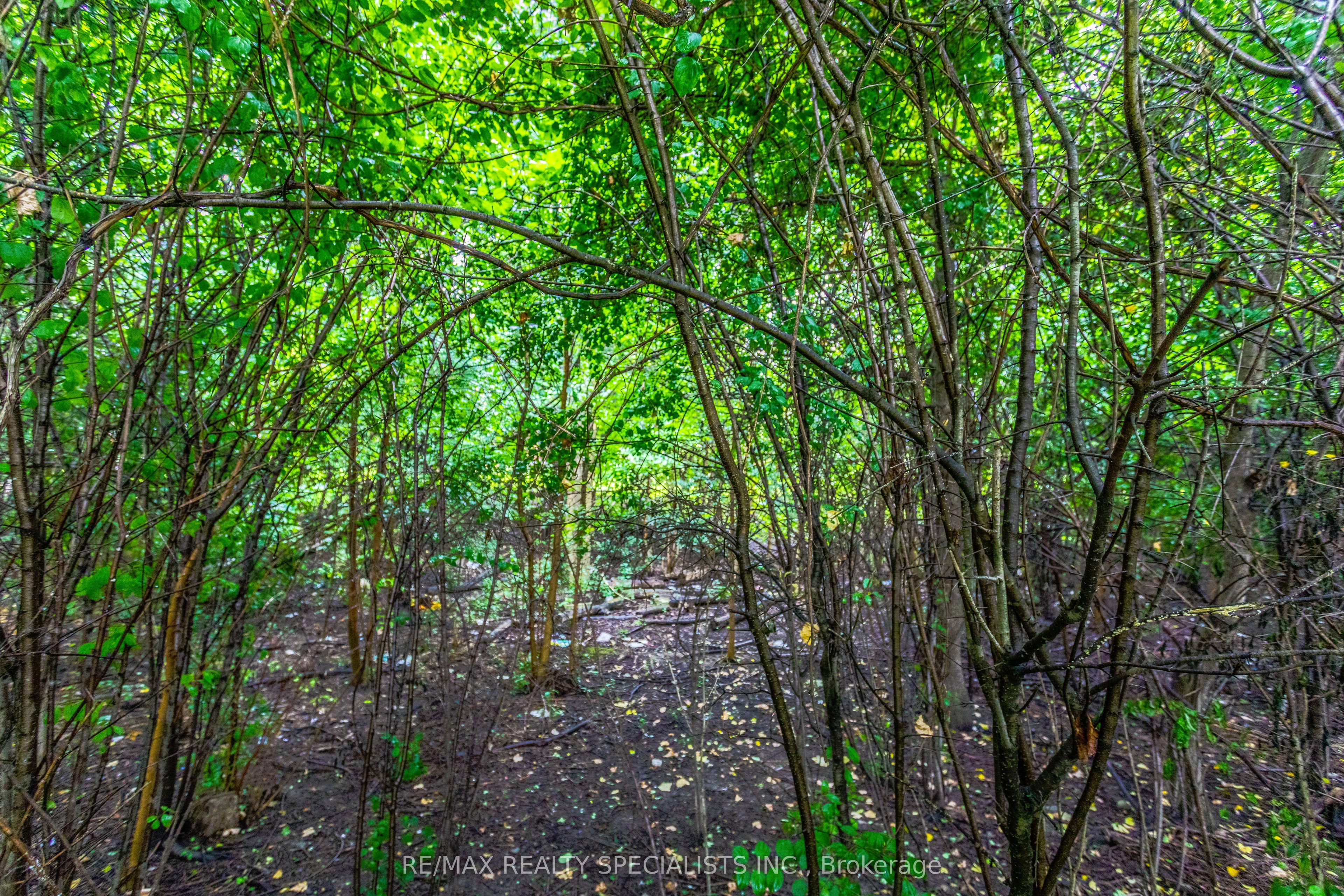 6343 Alderwood Trail Property Photo 49