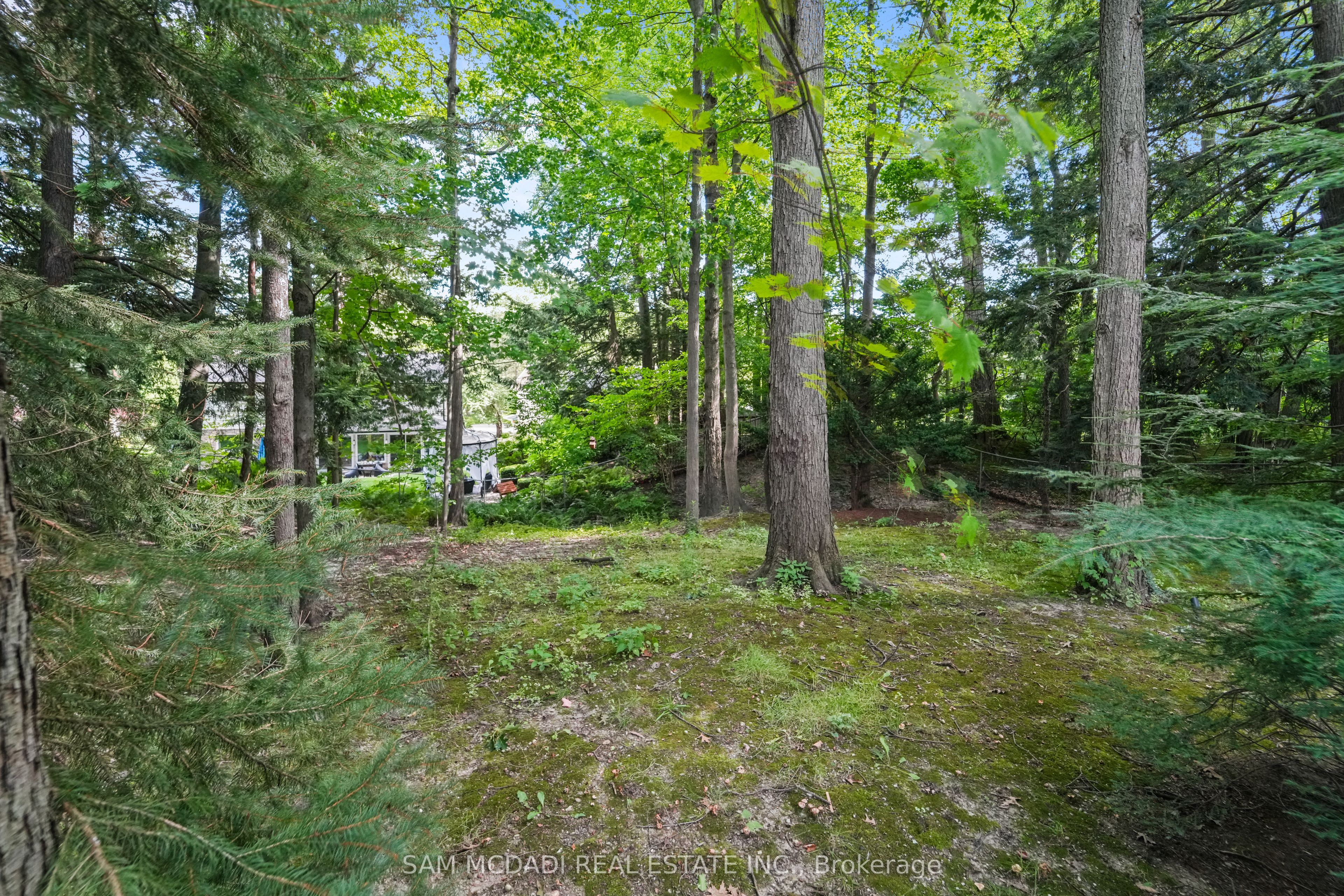 1578 Spring Road Property Photo 46