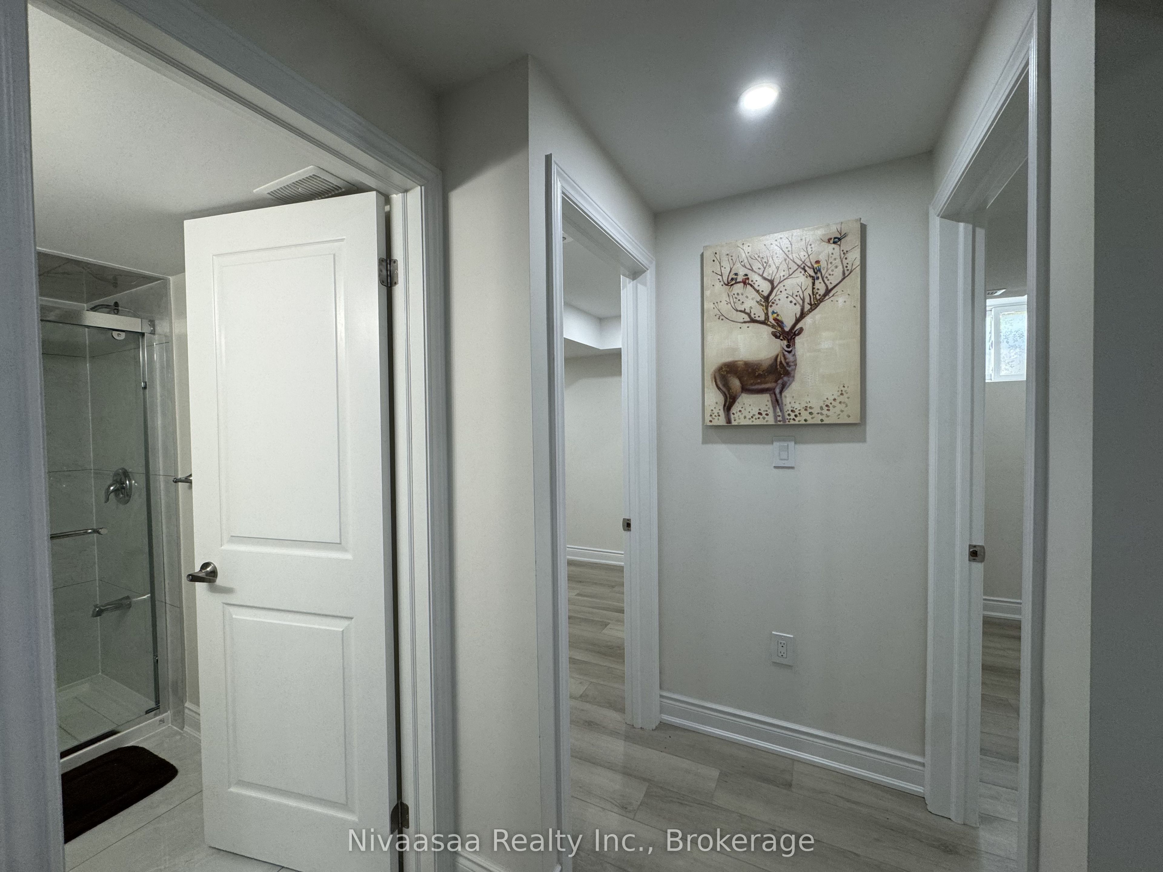 39 Petch Avenue Basement Property Photo 9