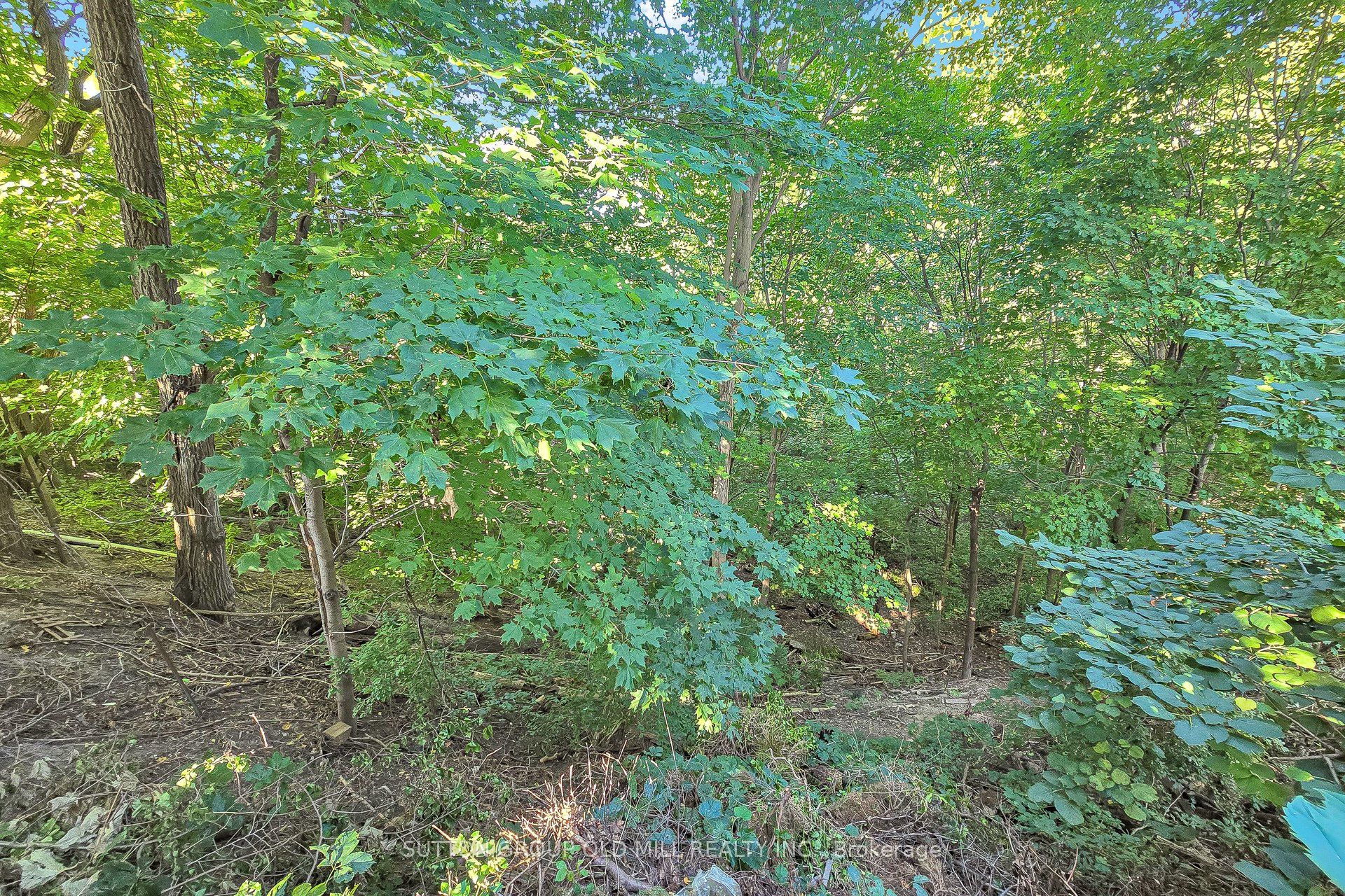 4 Ravenscrest Drive Property Photo 41