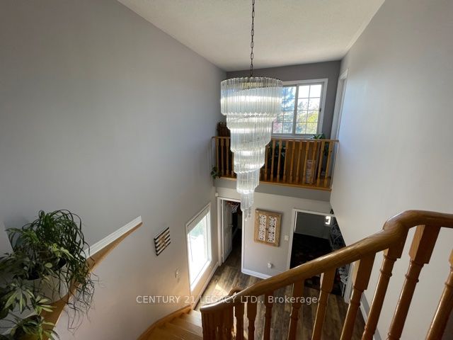 25 Kentucky Drive (upper) Property Photo 25