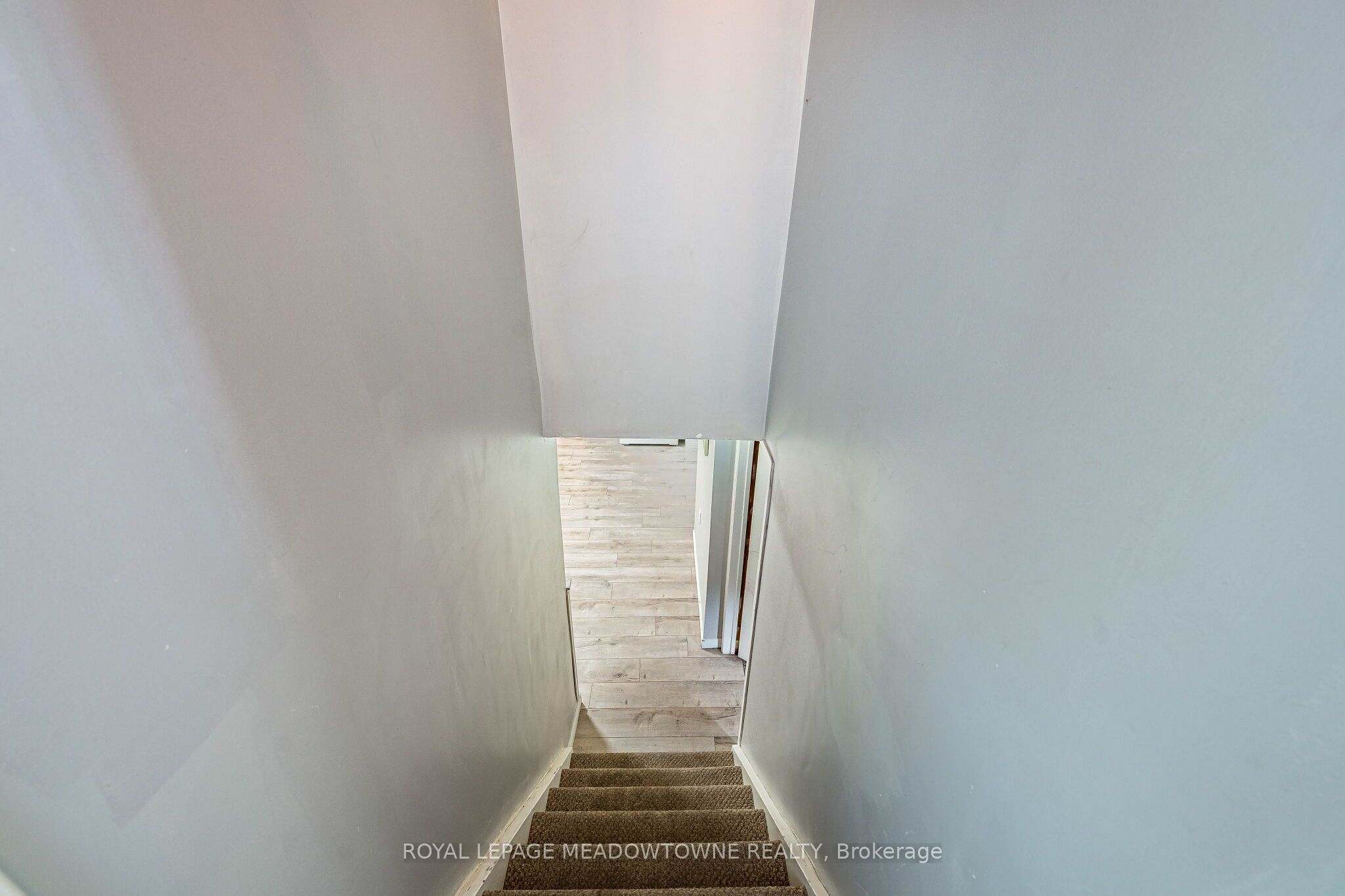 46 Reigate Avenue Property Photo 33