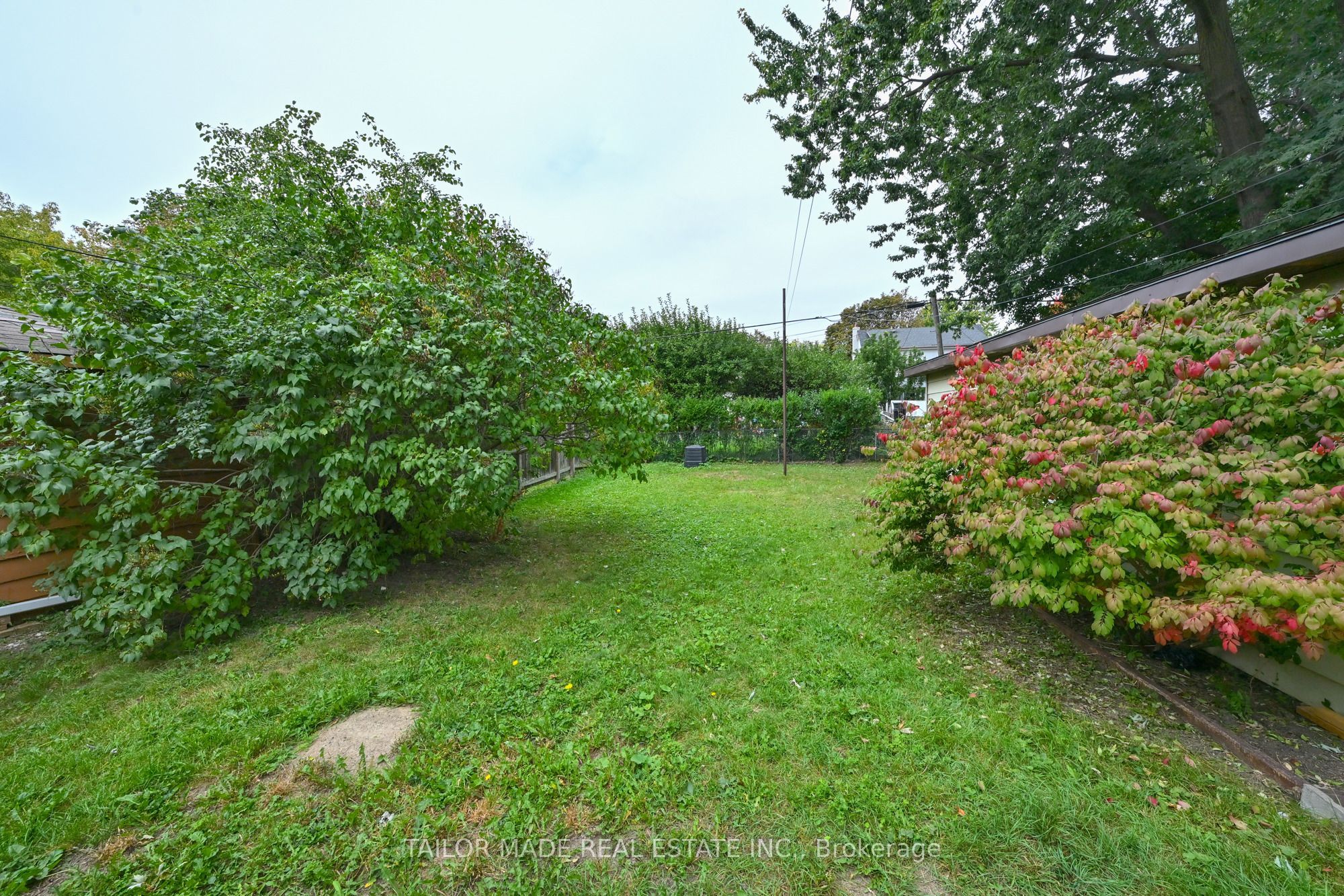 88 Mccaul Street Property Photo 23