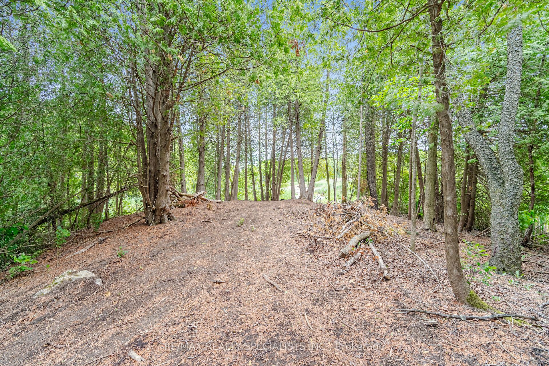 16735 Shaws Creek Road Property Photo 40