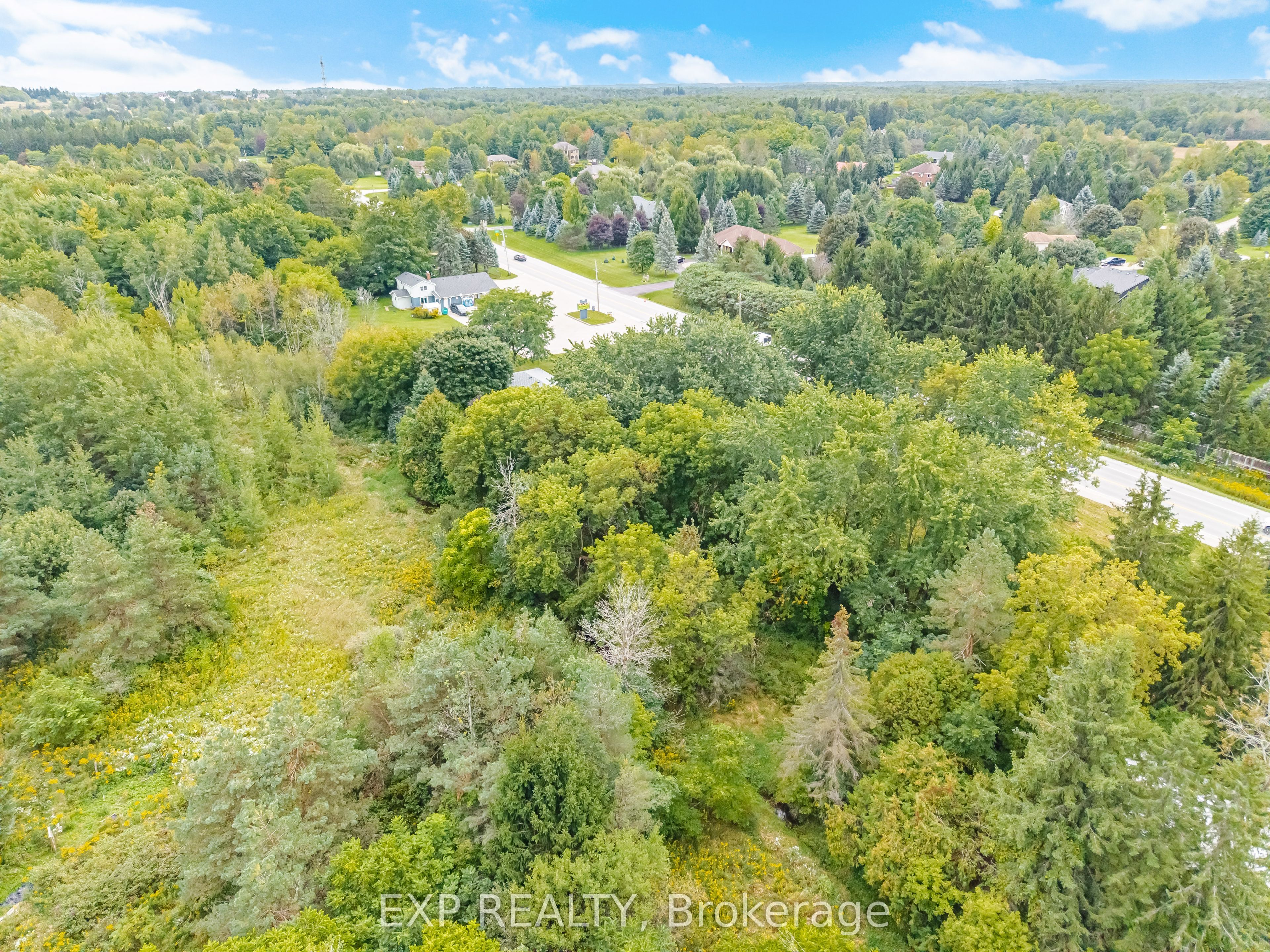 14367 Trafalgar Road N Property Photo 49