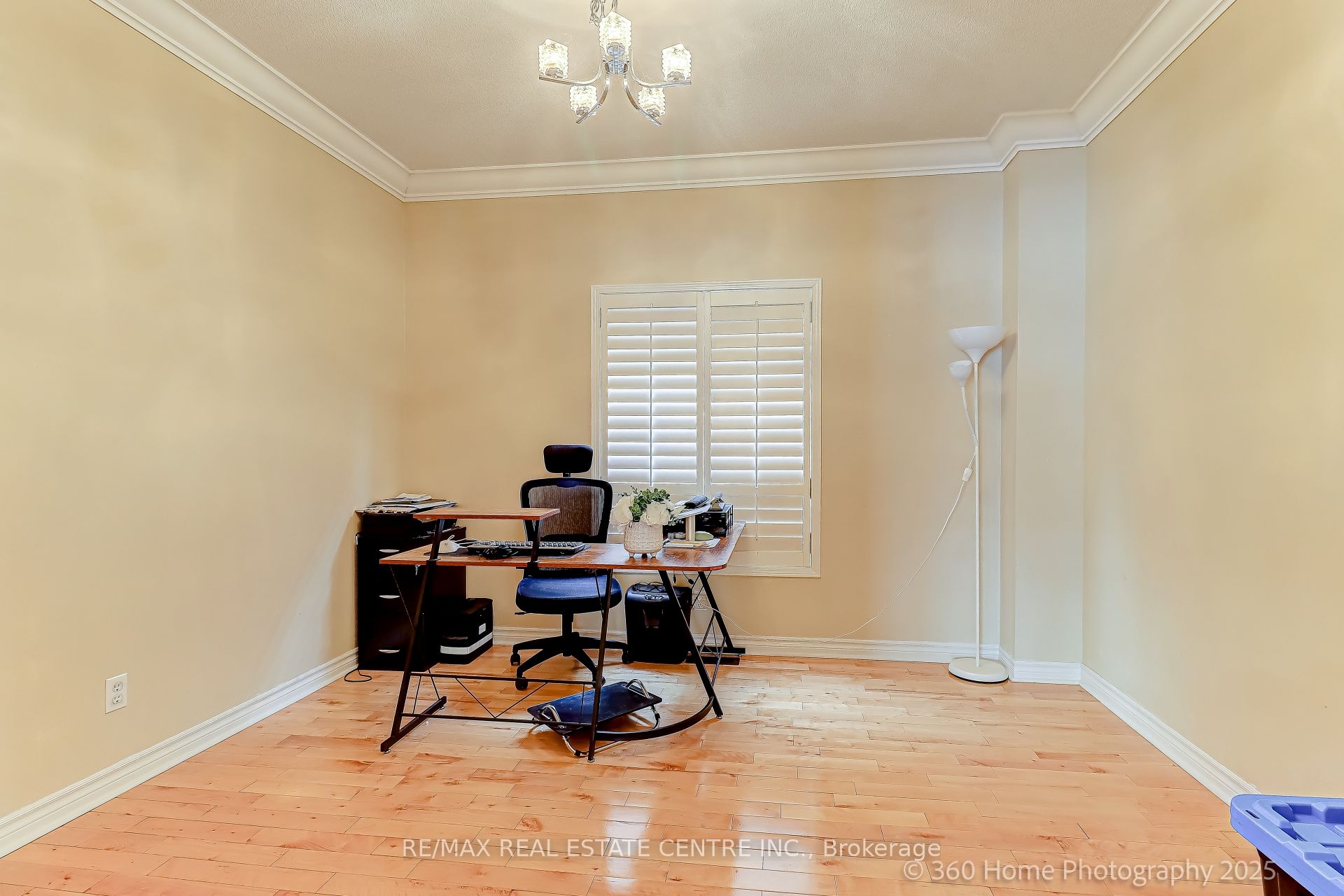 806 White Clover Way Property Photo 9