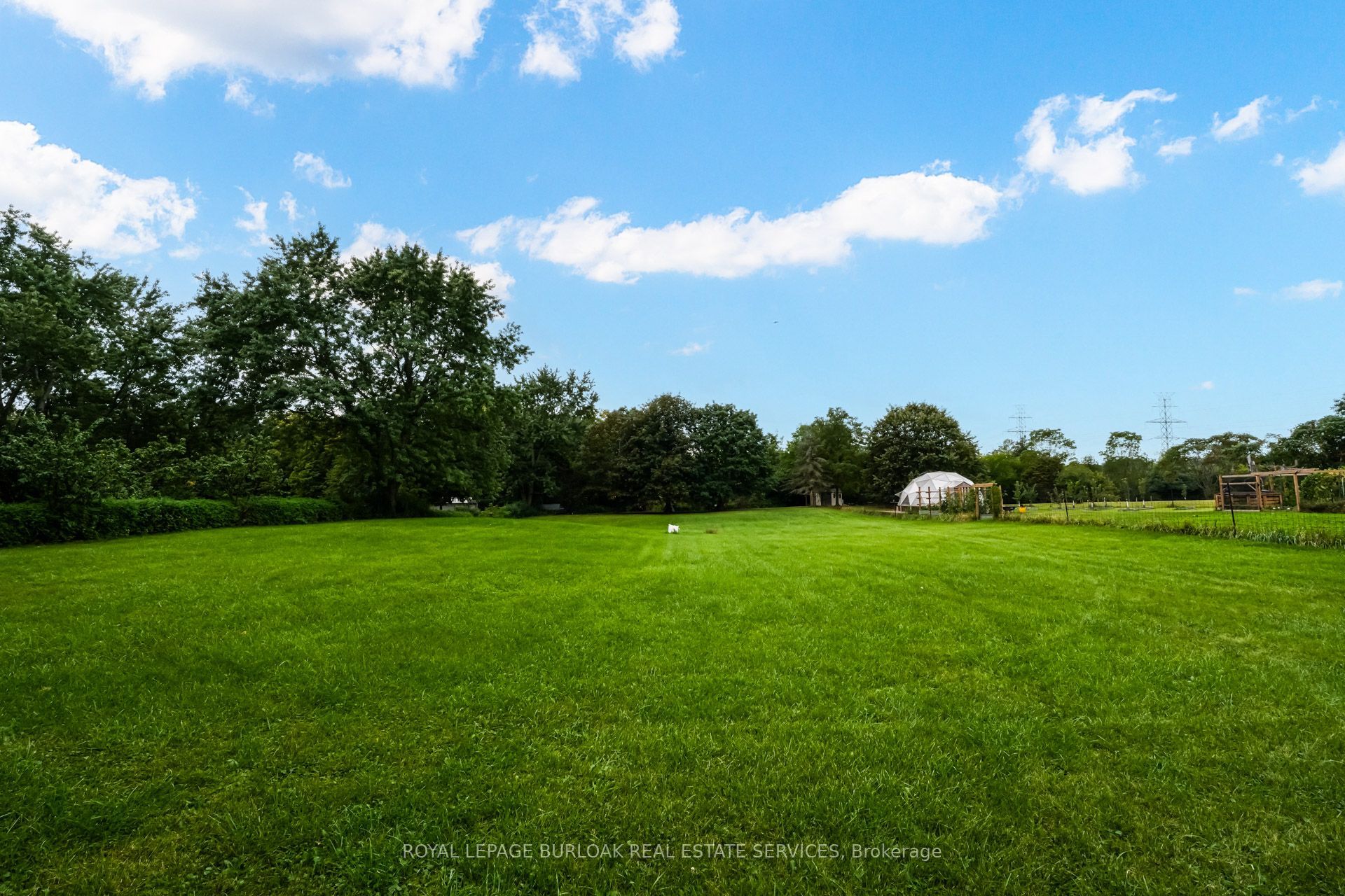 1412 Old York Road Property Photo 19