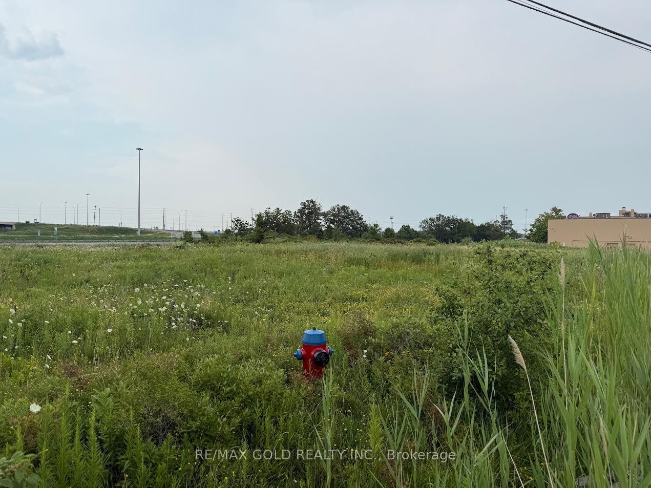 141 Chisholm Drive Property Photo 2
