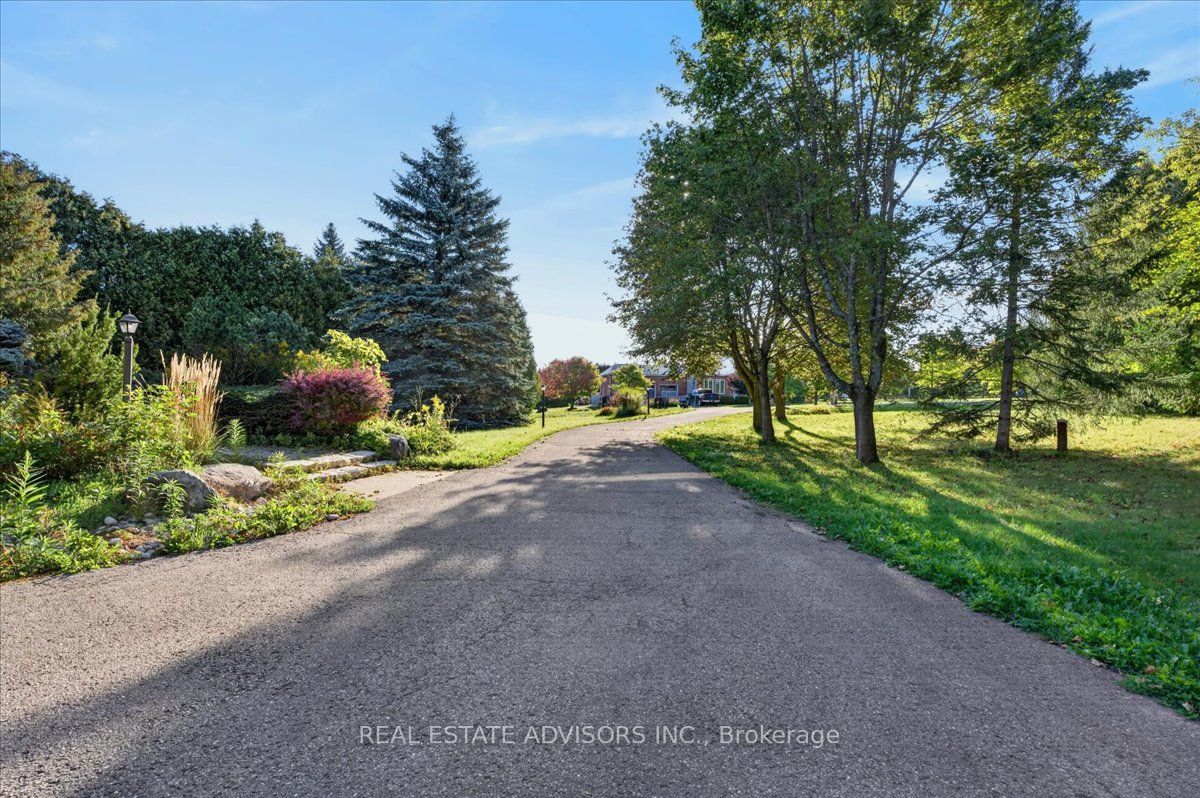 19 Mcconachie Crescent Property Photo 7