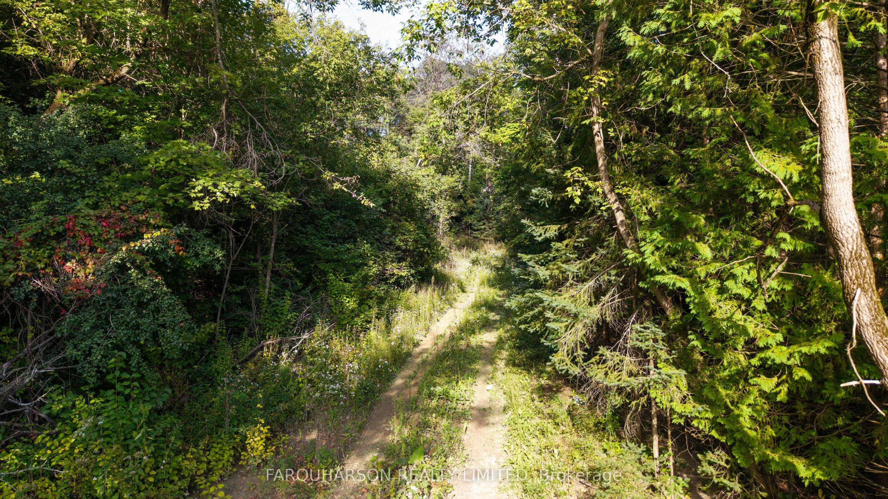 16631 Mount Hope Road Property Photo 6