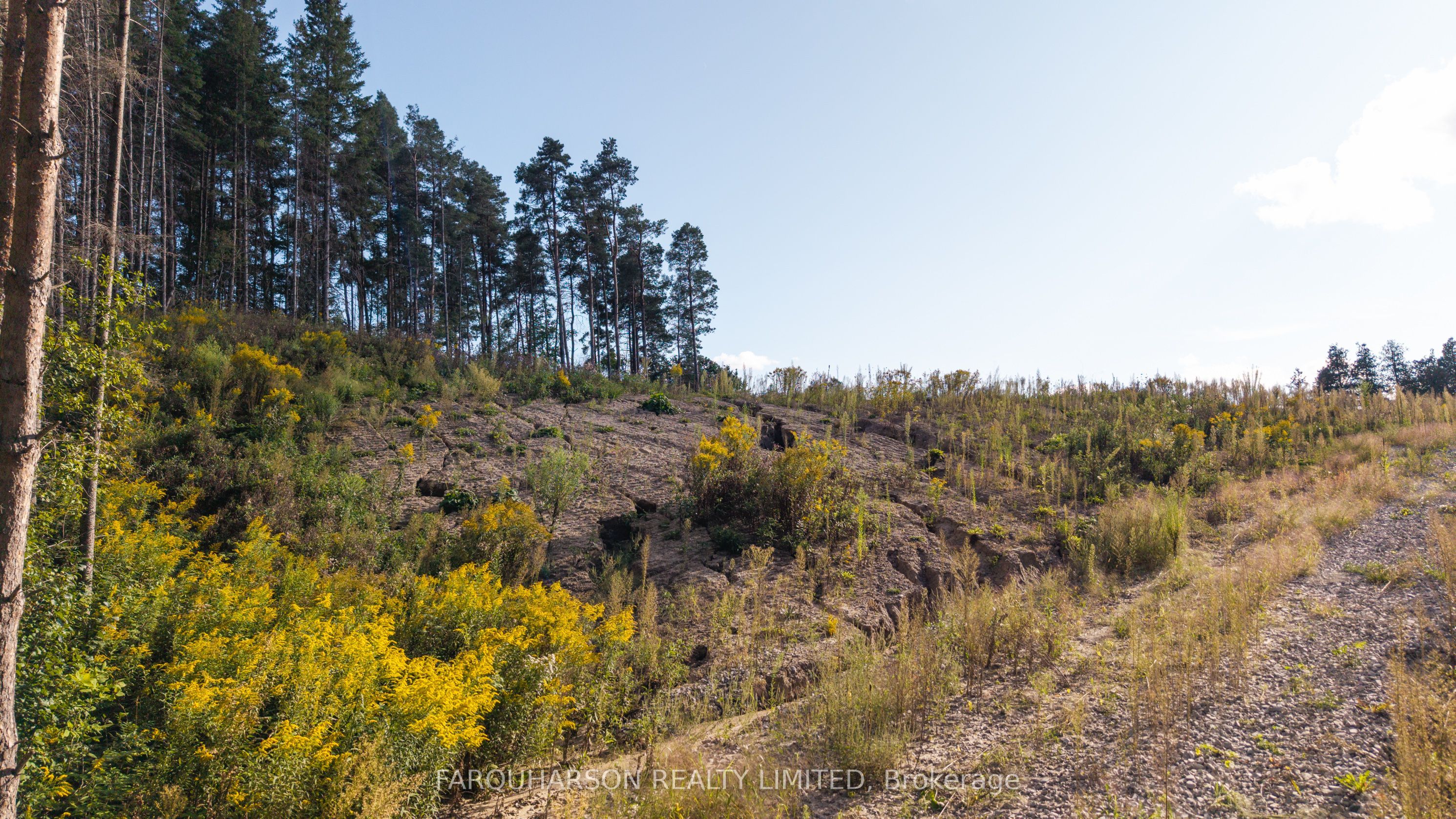 16631 Mount Hope Road Property Photo 11