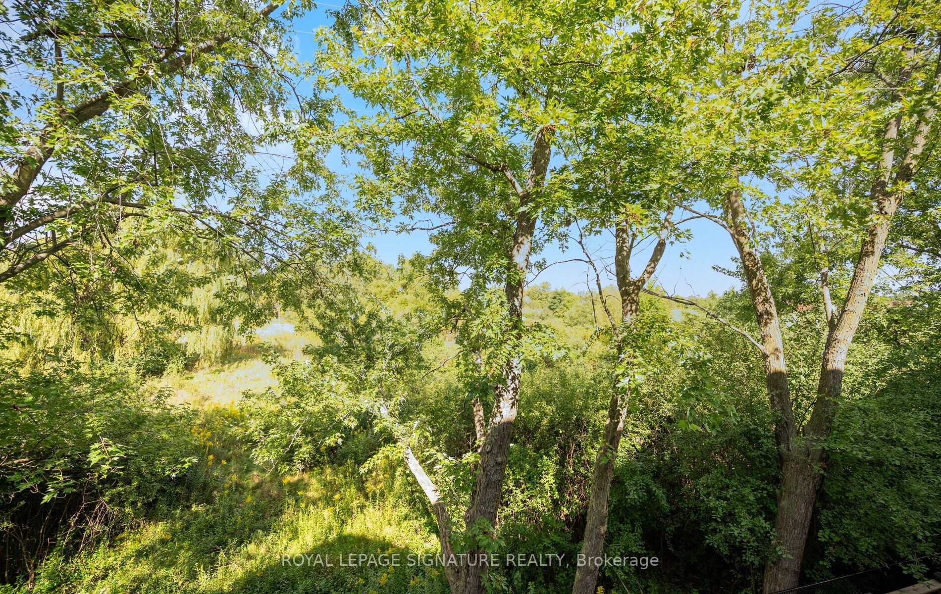 2023 Deerview Common Property Photo 27