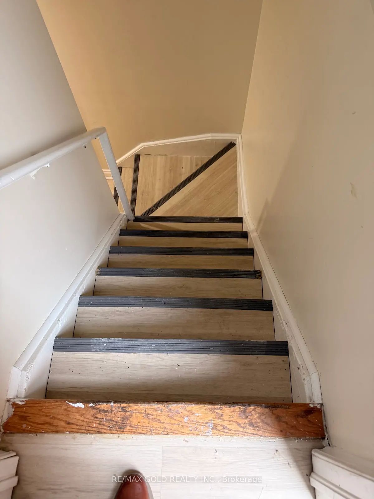 9 Dunlop Court Bsmt Property Photo 3