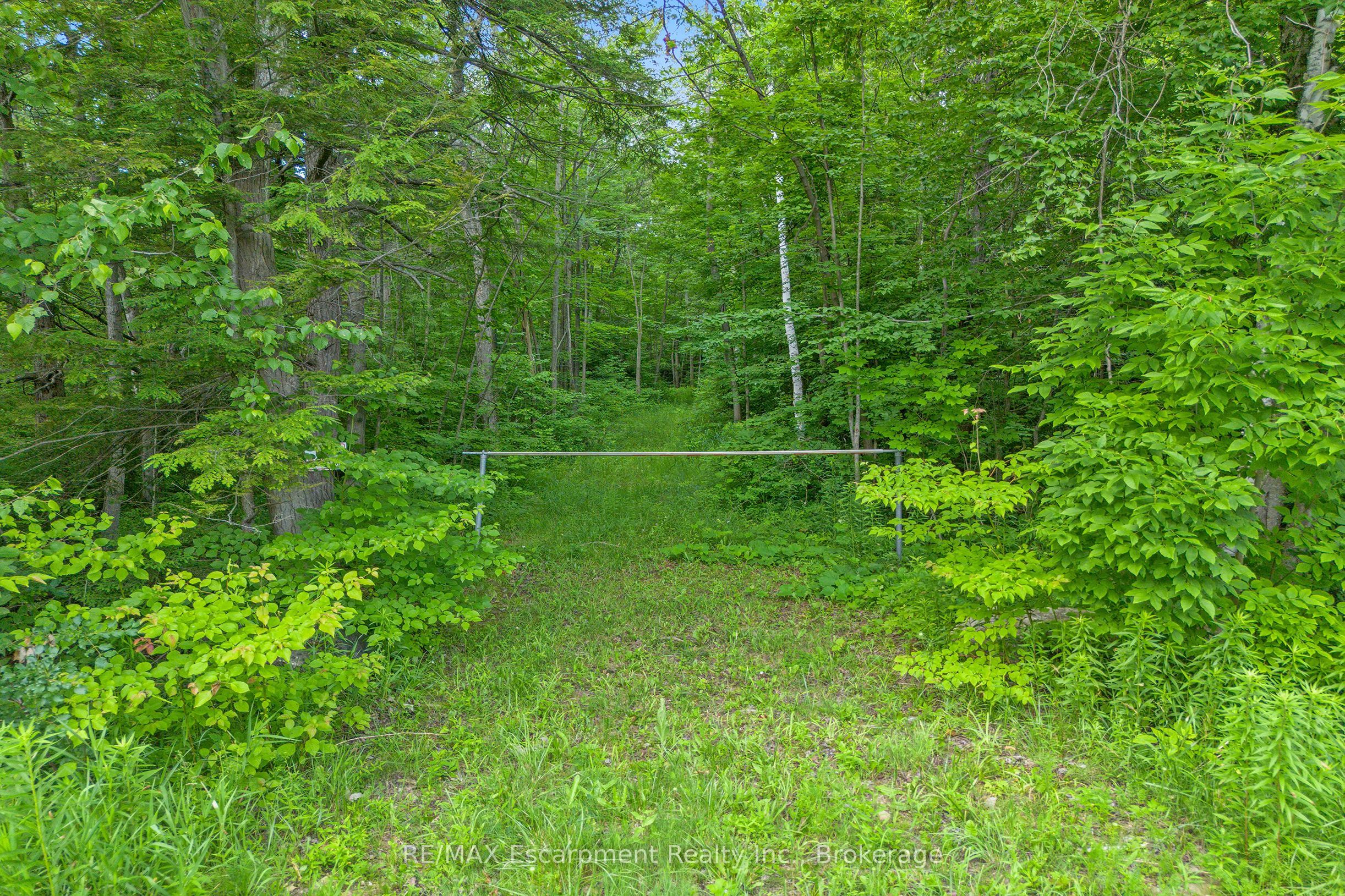 -- Fourth Line Nassagaweya Property Photo 1