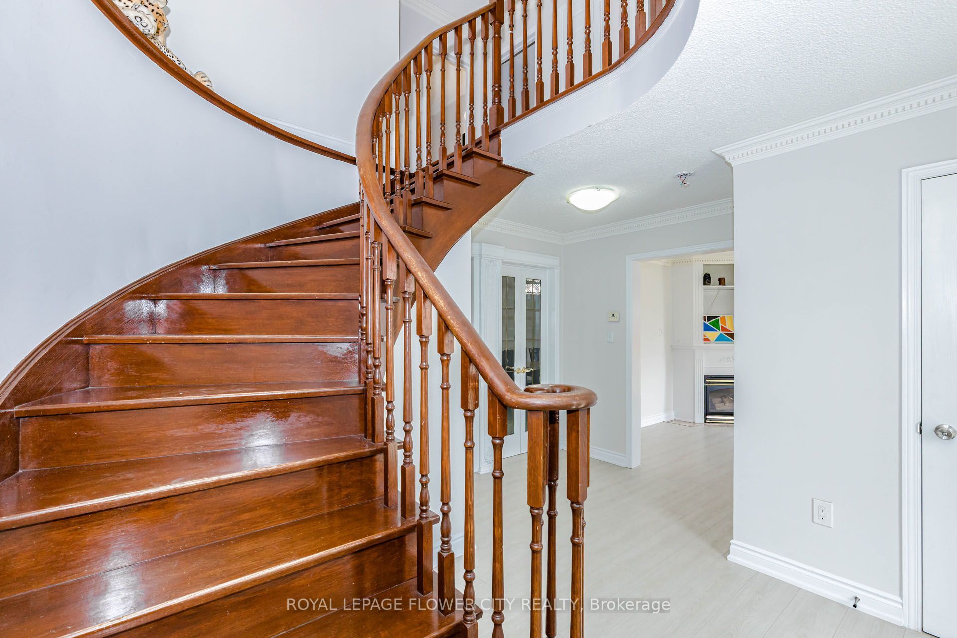 14 Canarvan Court Property Photo 20