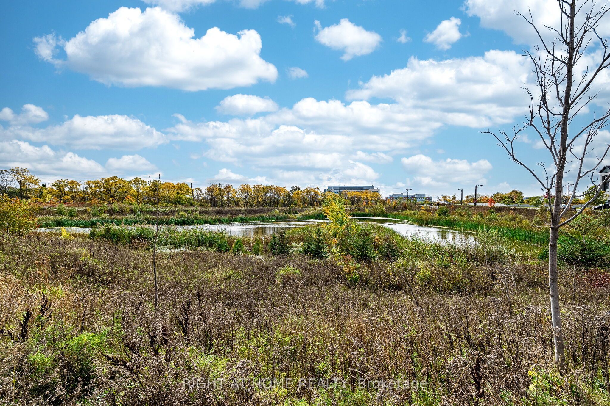 1330 Shevchenko Boulevard Property Photo 30