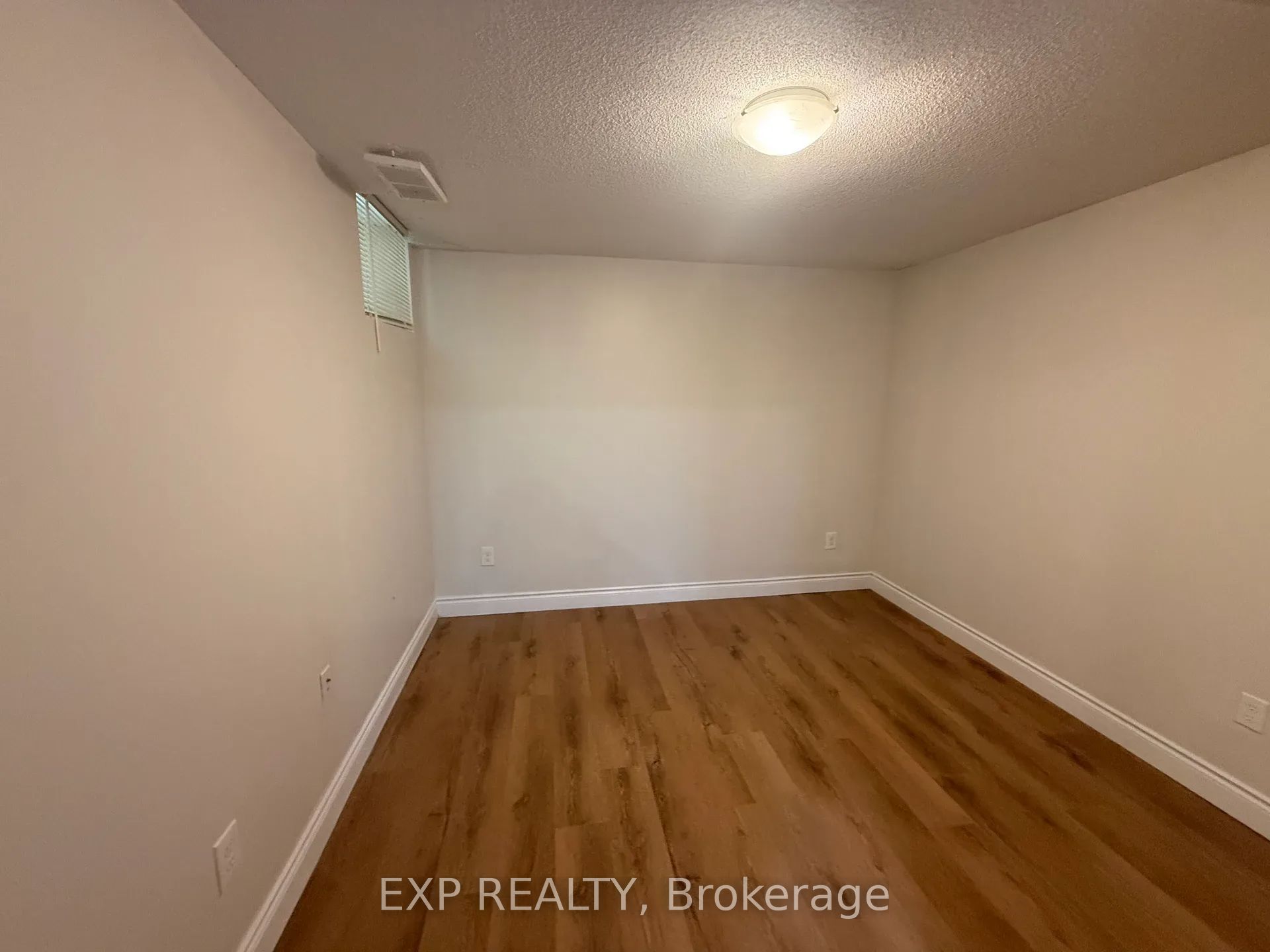 7683 Black Walnut Trail Basement Property Photo 8