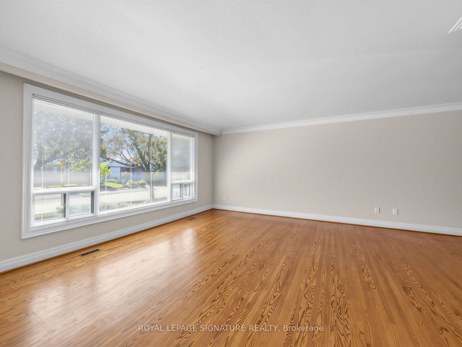 39 Buxton Road Property Photo 25