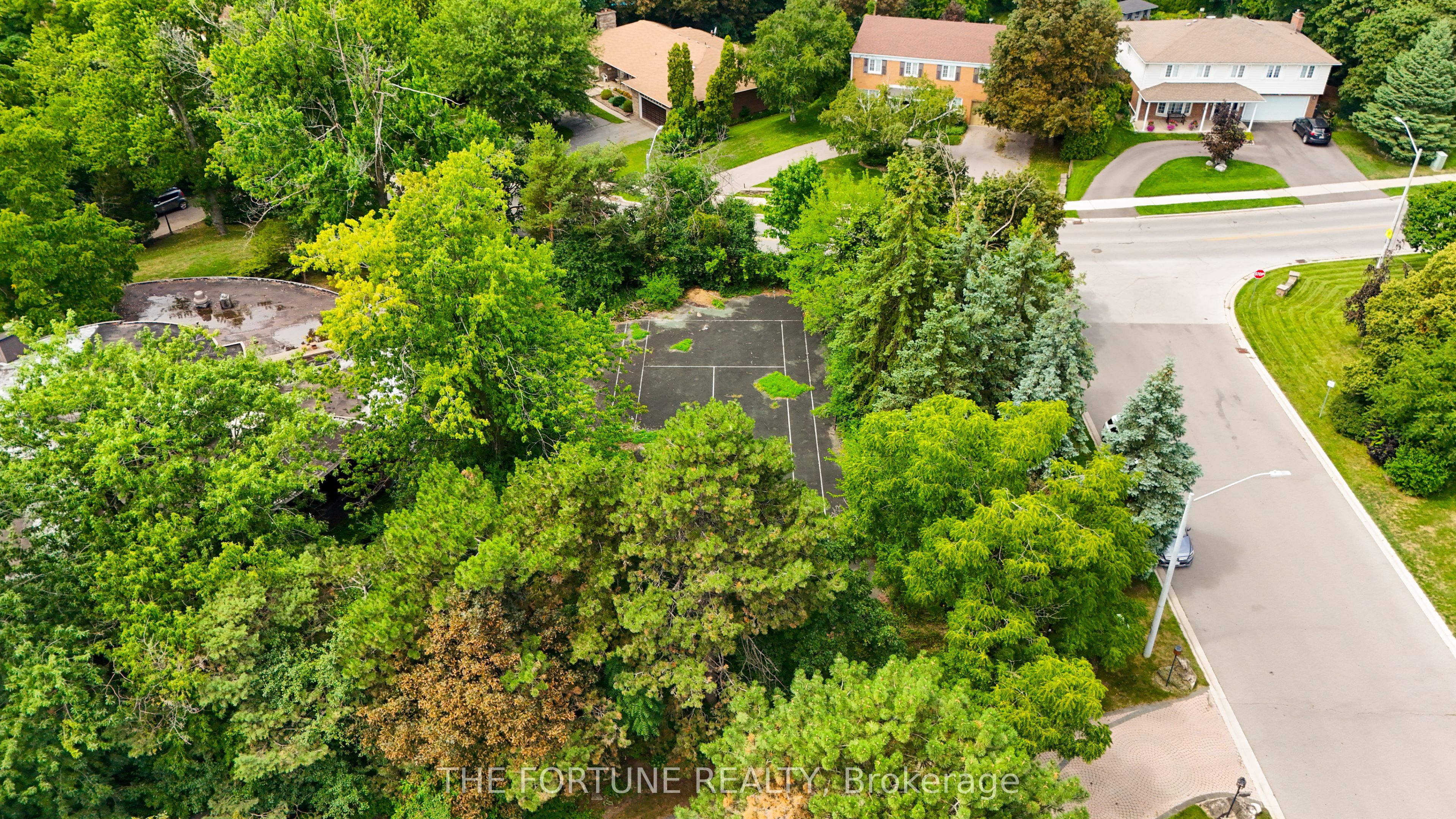 58 Parkview Place Property Photo 7