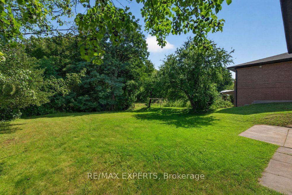 23 Collingdale Road Property Photo 25