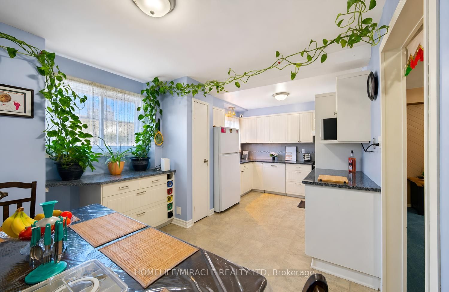 63 Mccallum Court Property Photo 17