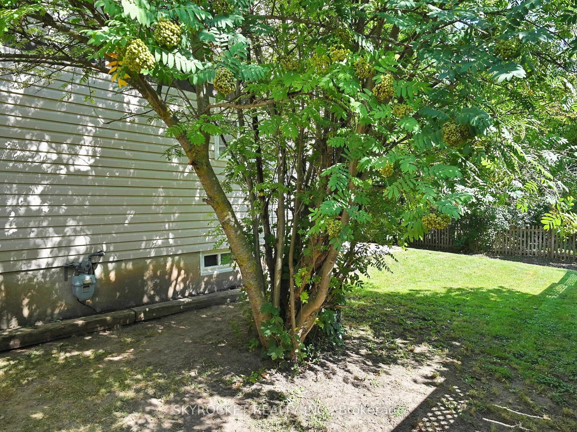 125 Bythia Street Property Photo 31