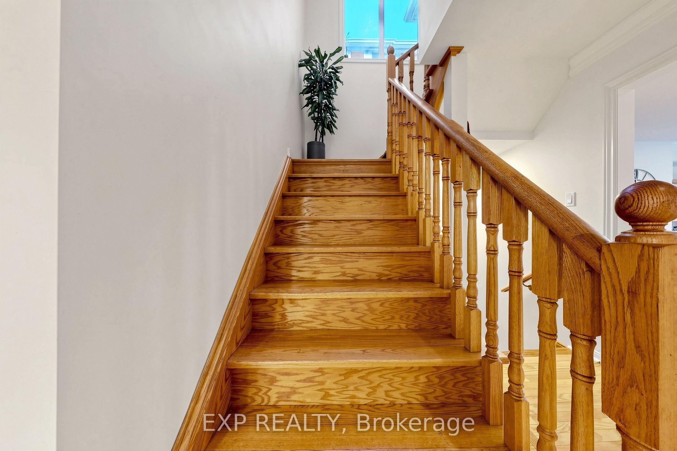 4882 Vienna Court Property Photo 11