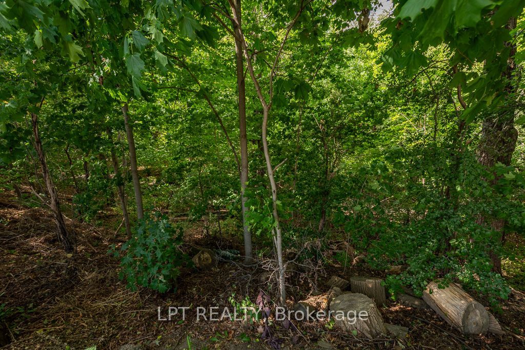 16 Oak Gardens Court Property Photo 8