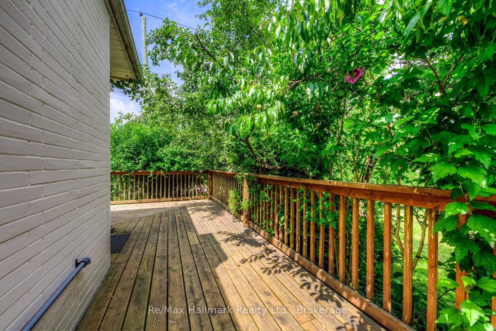1510 Constance Drive Property Photo 43