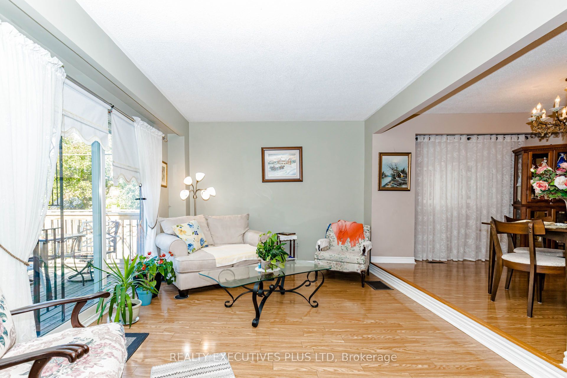 15 Mangrove Road Property Photo 18