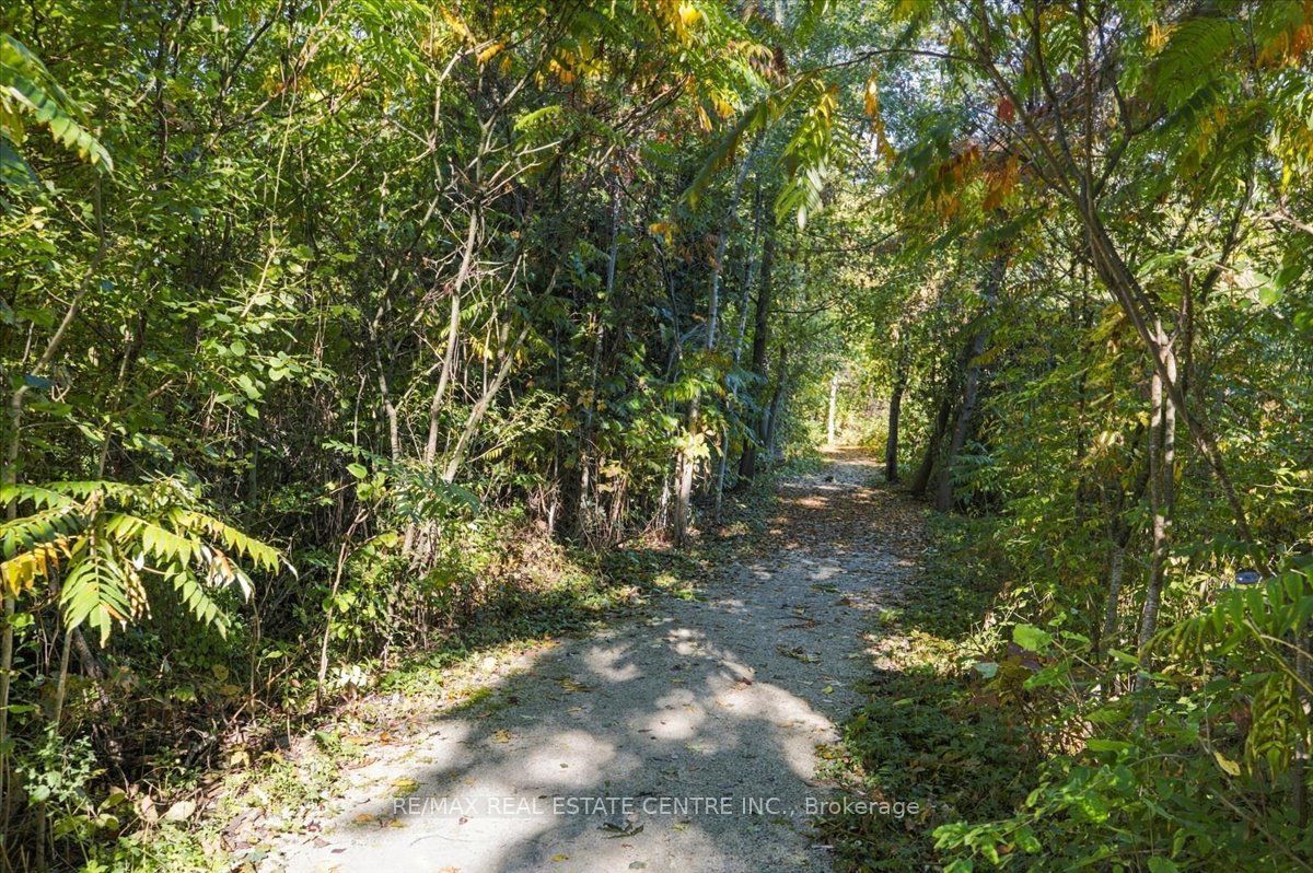 22 Birchway Place Property Photo 39