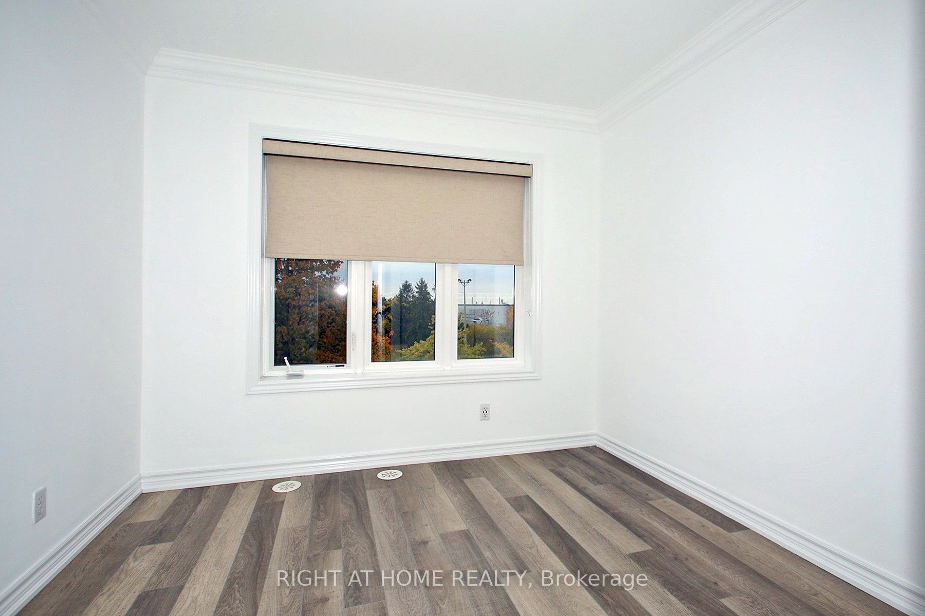 50 Carnation Avenue 147 Property Photo 26