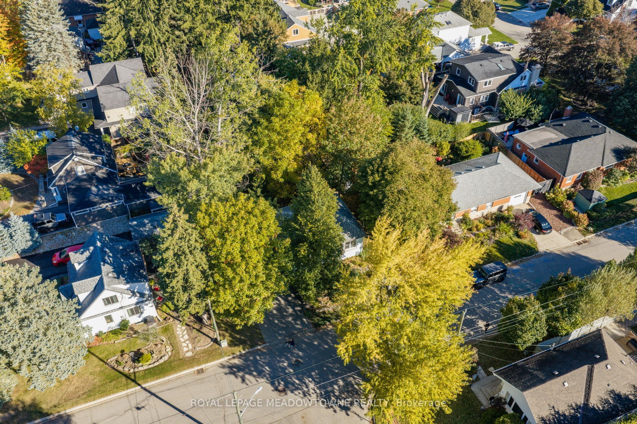 33 Durham Street Property Photo 45