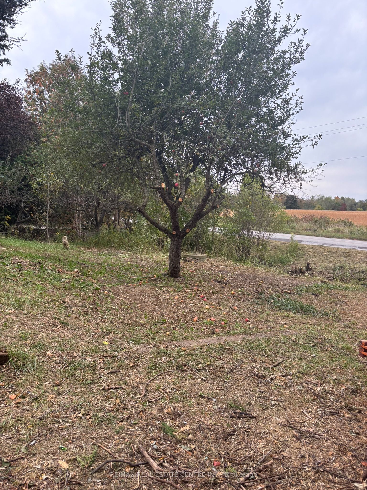 14273 4th Line Property Photo 3