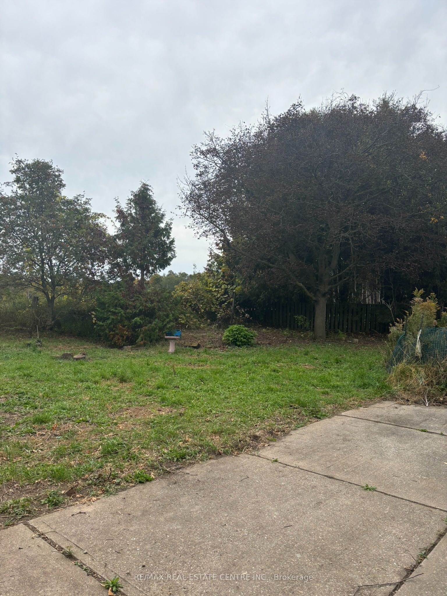 14273 4th Line Property Photo 4