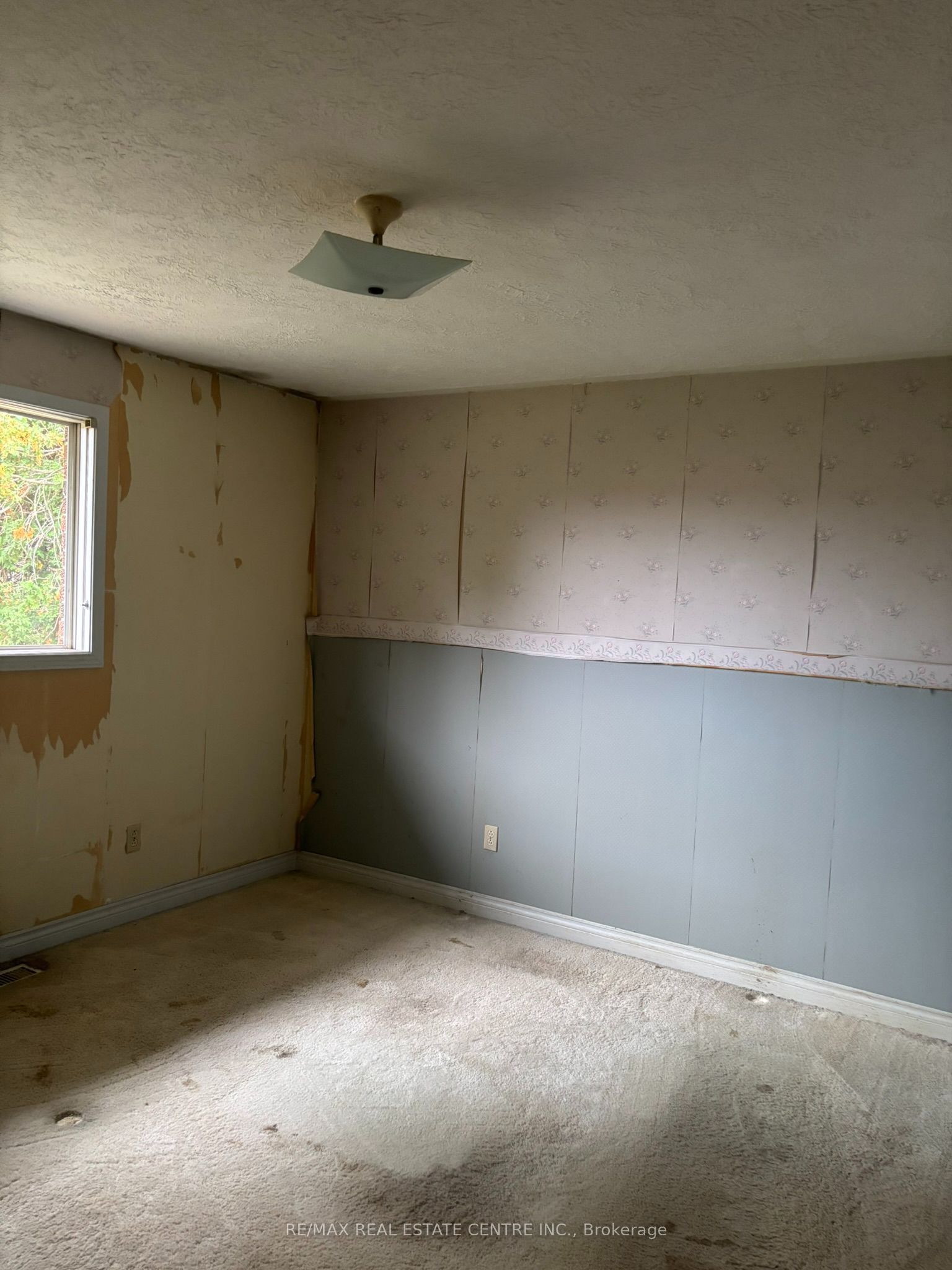 14273 4th Line Property Photo 9