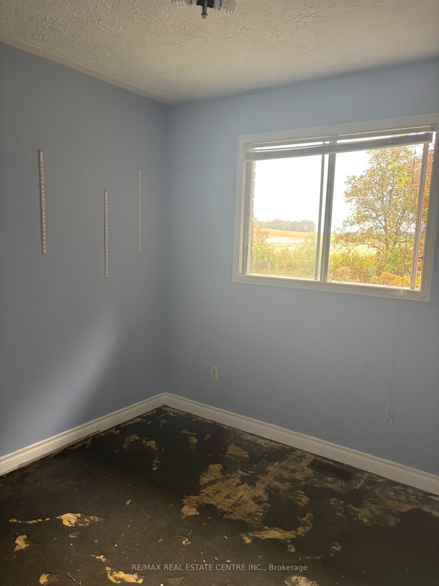 14273 4th Line Property Photo 10