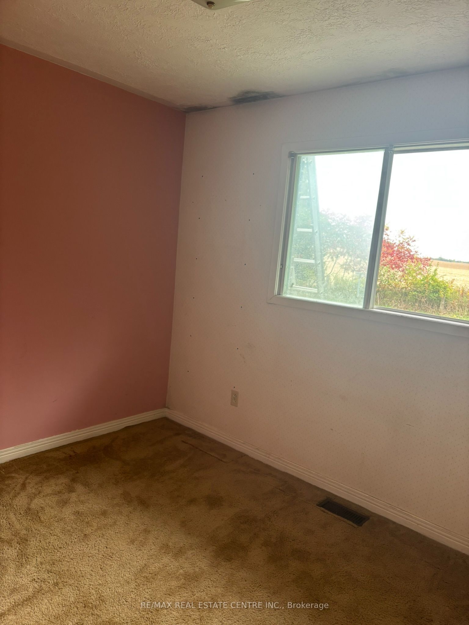 14273 4th Line Property Photo 11