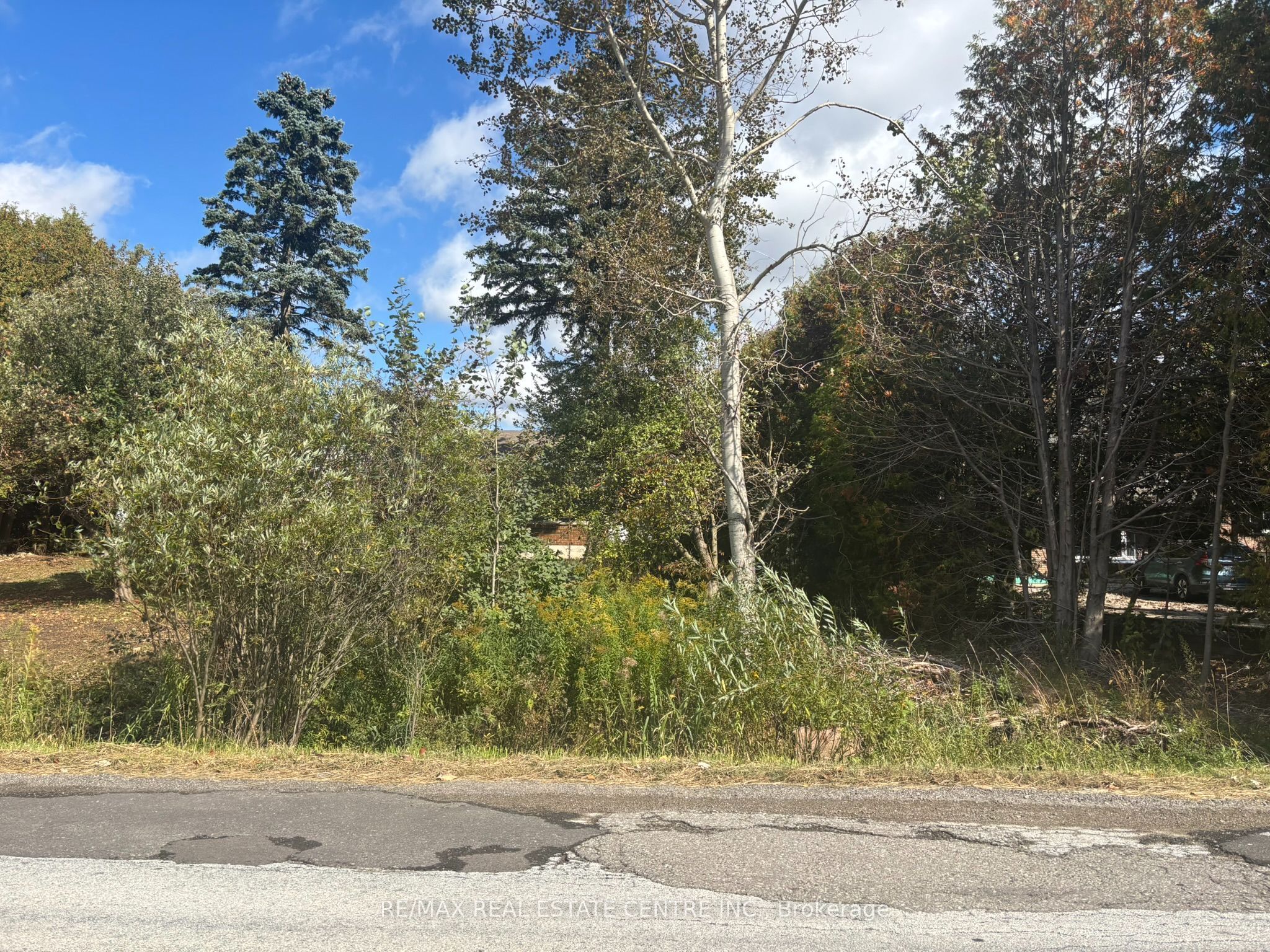 14273 4th Line Property Photo 14