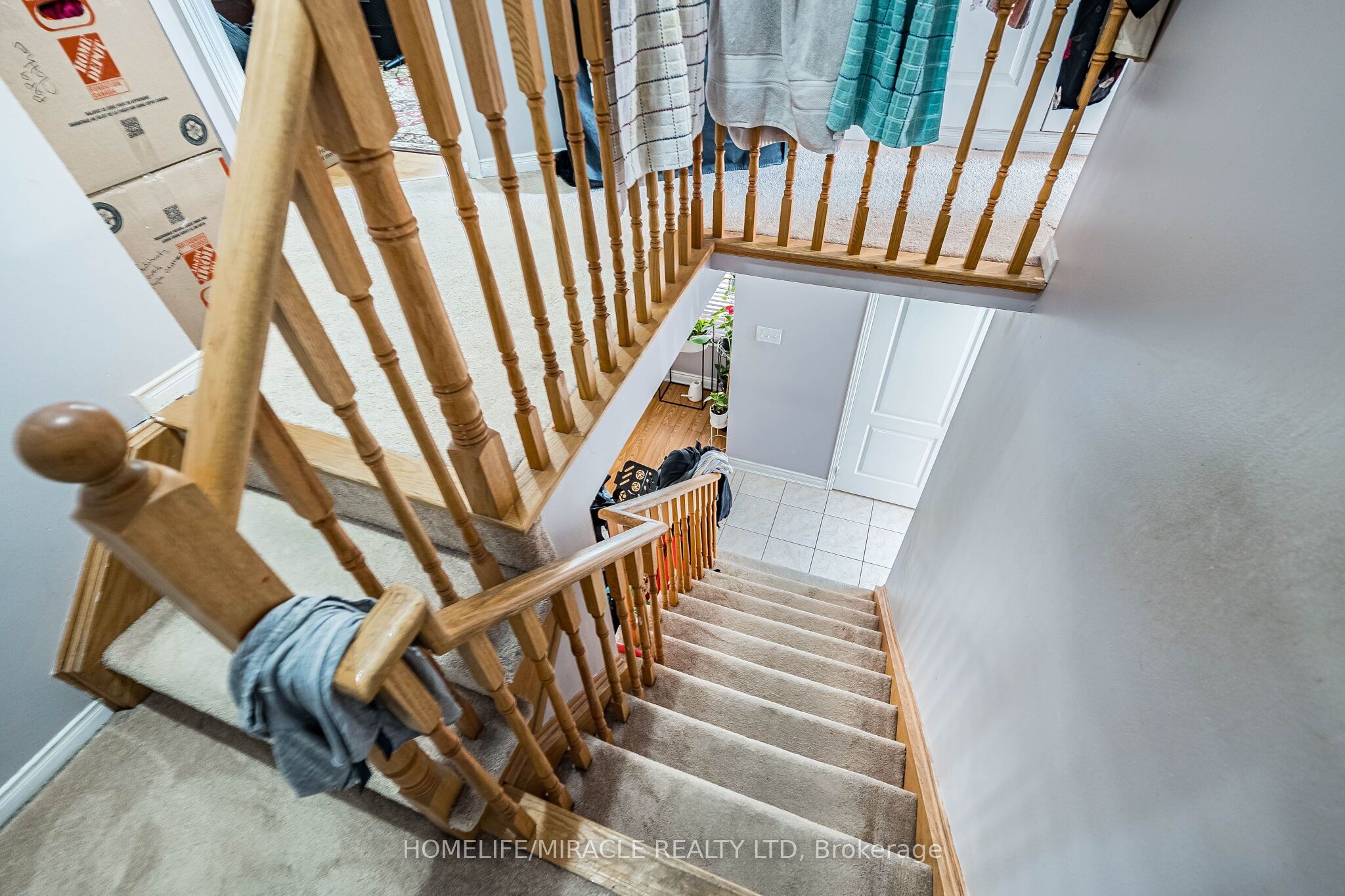 5881 Delle Donne Drive Property Photo 21