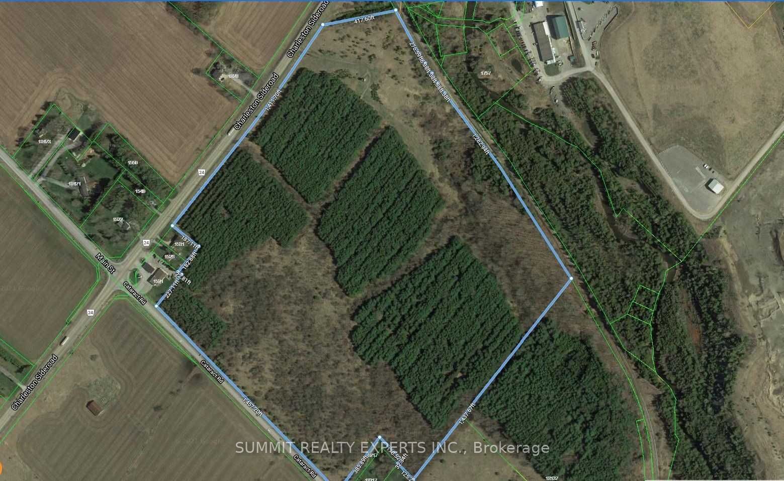 0 Charleston Sideroad Property Photo 1