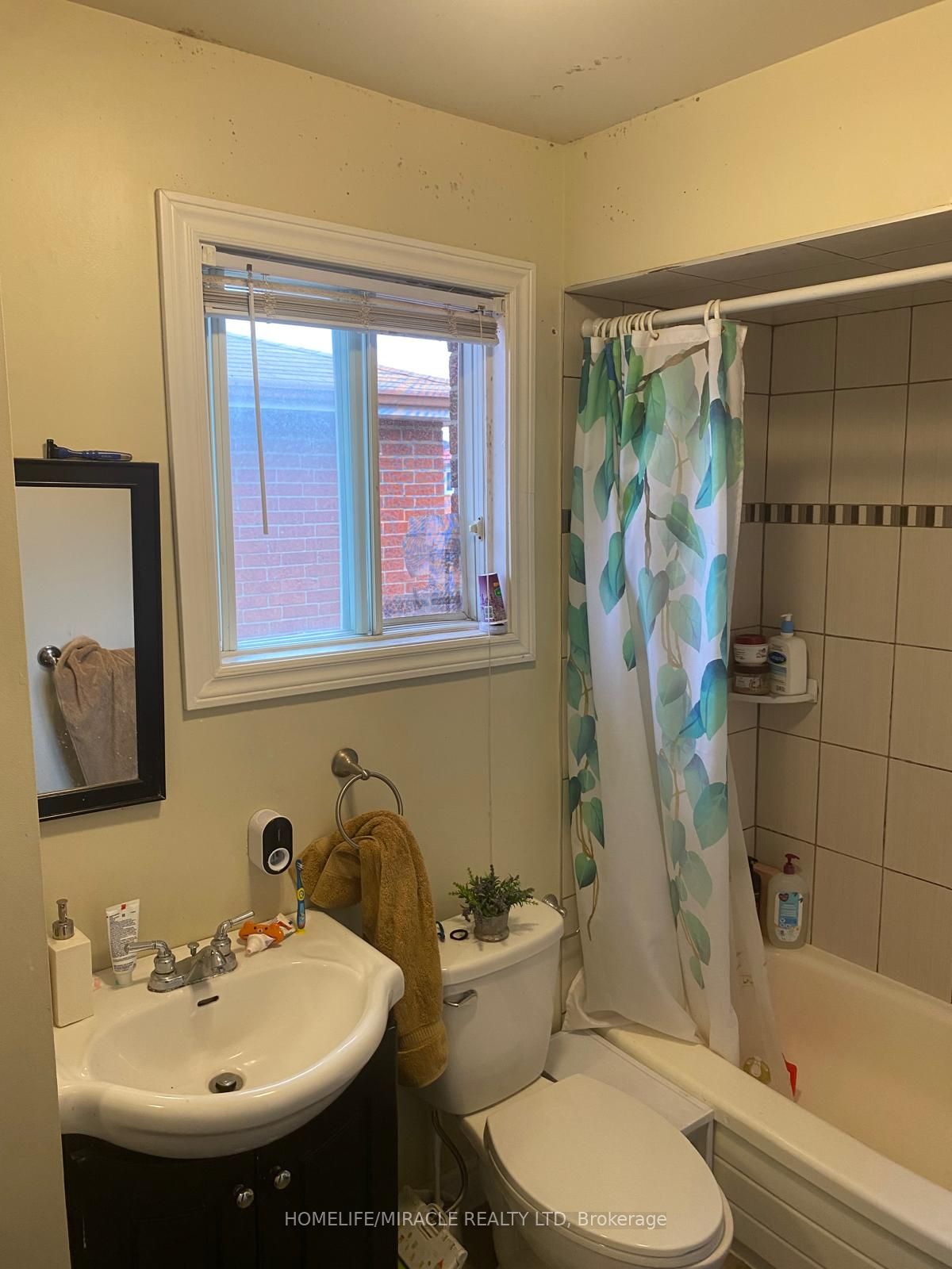 33 Mcgraw Avenue Property Photo 17