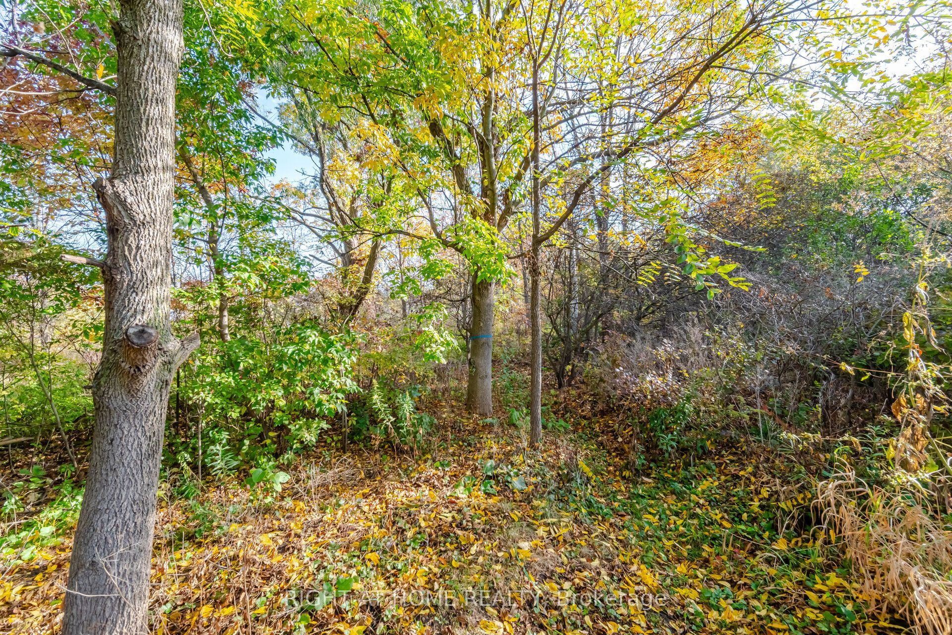 4089 Medland Drive Property Photo 49