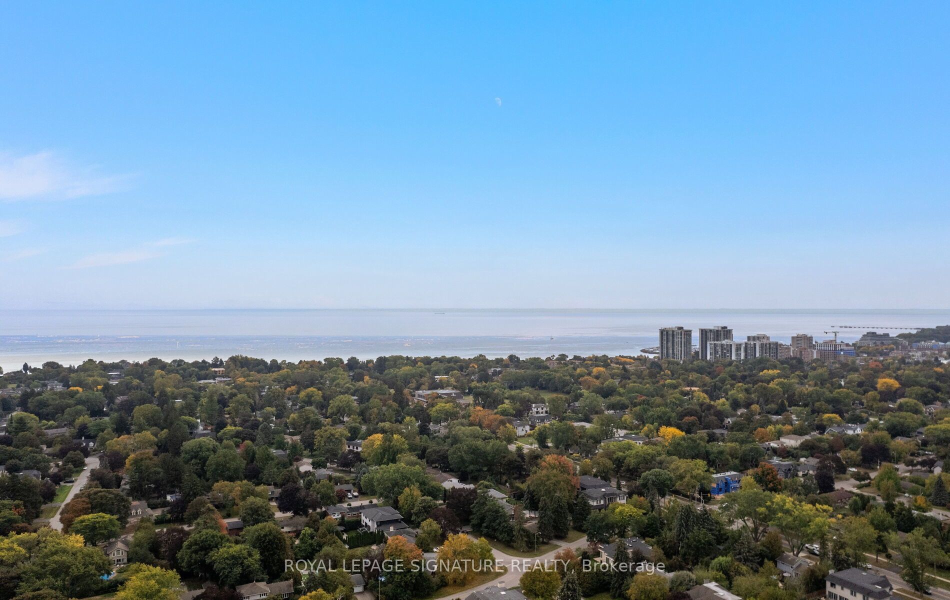 251 Third Line Property Photo 44