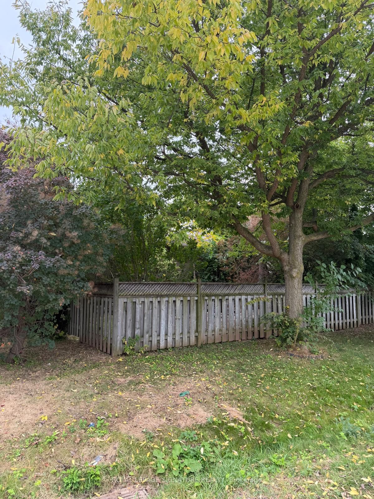 1207 Wood Place Property Photo 26
