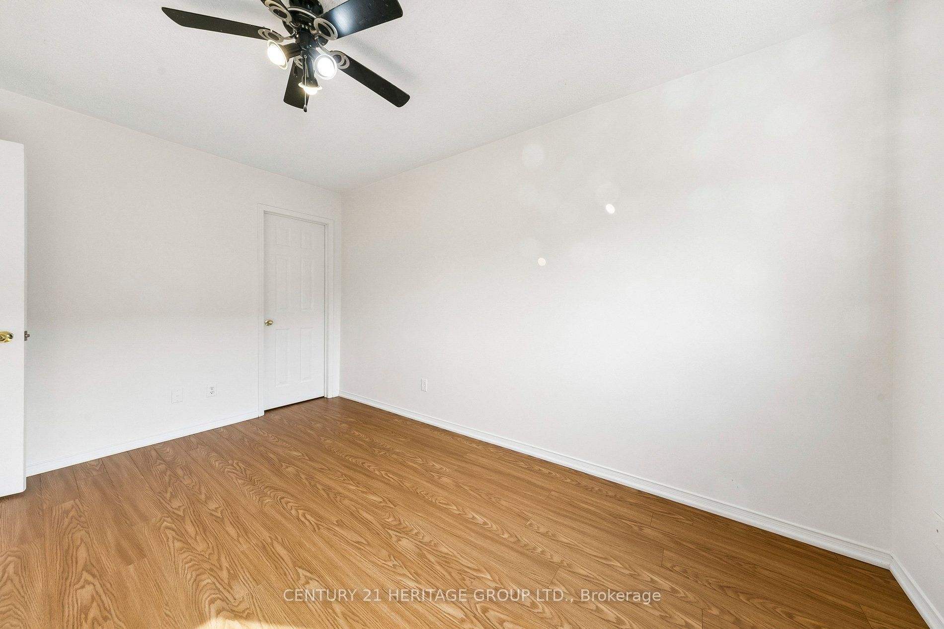 3920 Zenith Court Property Photo 30