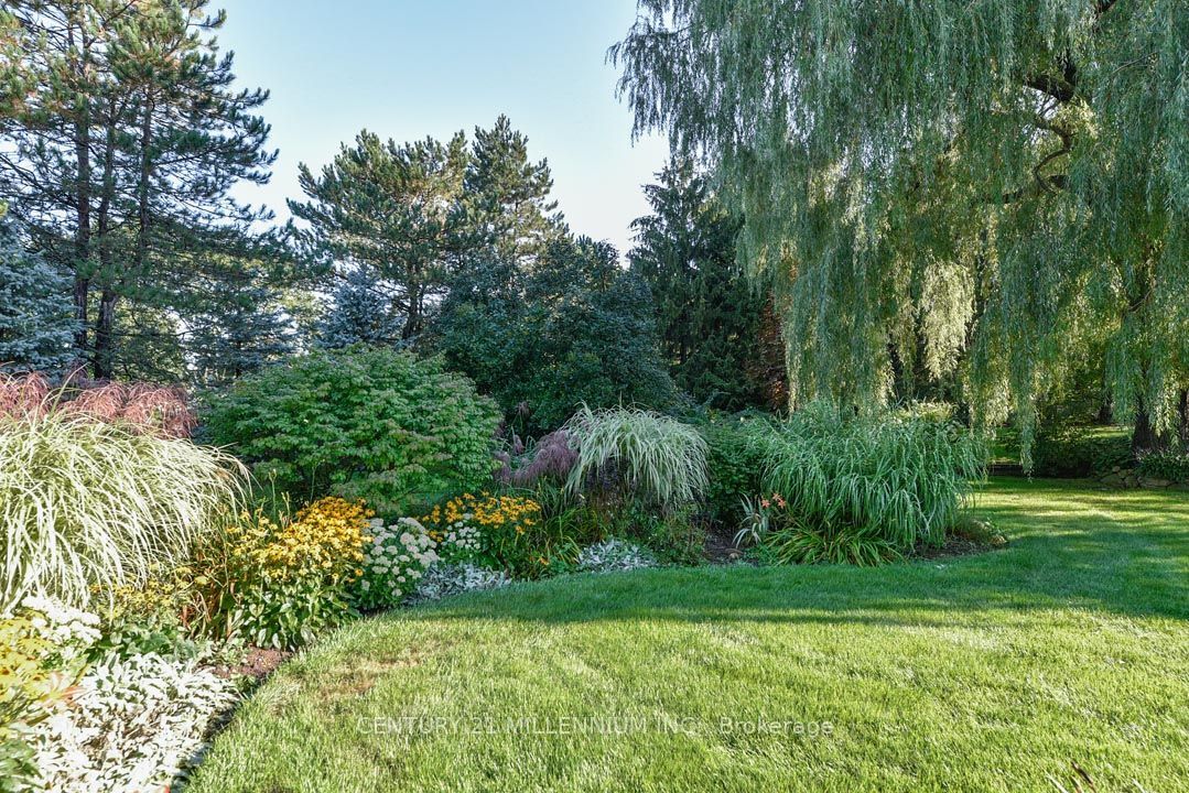 5 Snowberry Court Property Photo 24