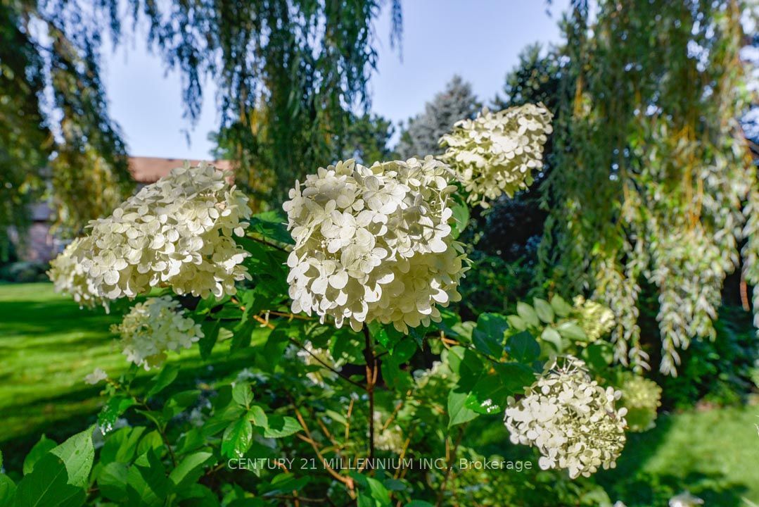 5 Snowberry Court Property Photo 40